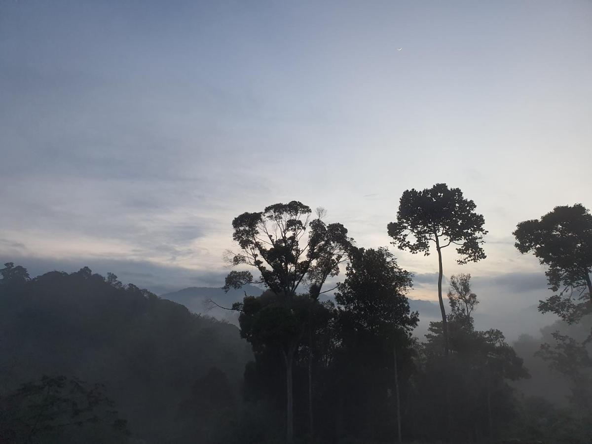 Neblina House Holiday home *