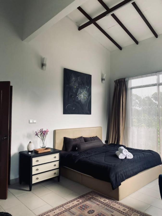 Neblina House Holiday home *